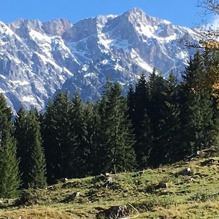 Auhaeuslalm Villa Maria Alm am Steinernen Meer Ngoại thất bức ảnh