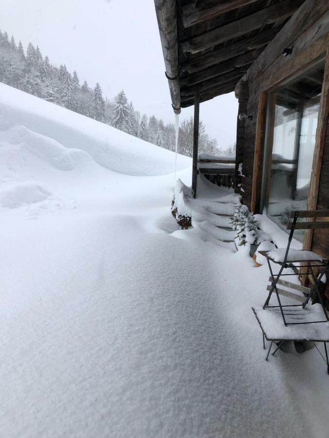 Auhaeuslalm Villa Maria Alm am Steinernen Meer Ngoại thất bức ảnh